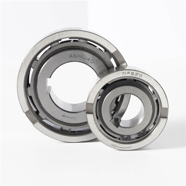 ASNU8,ASNU12,ASNU15,ASNU17,ASNU20 one way bearing Backstop Clutch