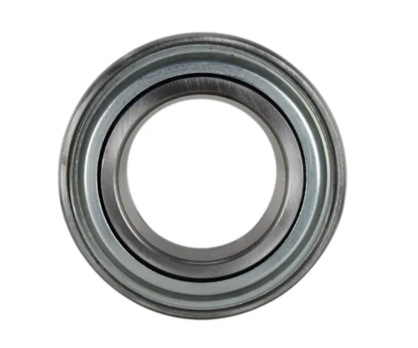 custom electric motor and bearing