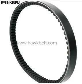 Timing Belt for Cars Replacement Cost for Different Car Models