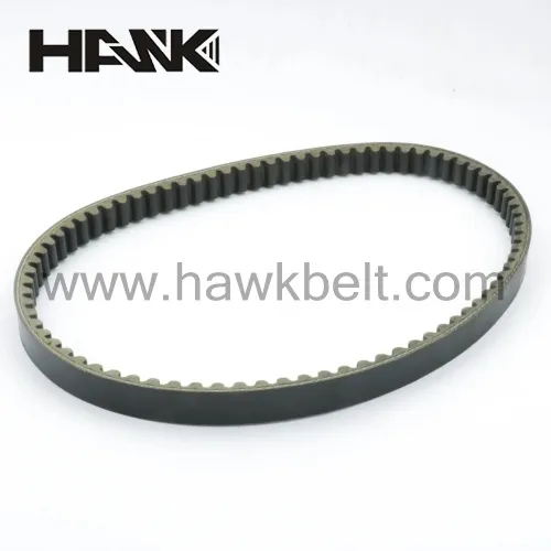 alternator drive belt