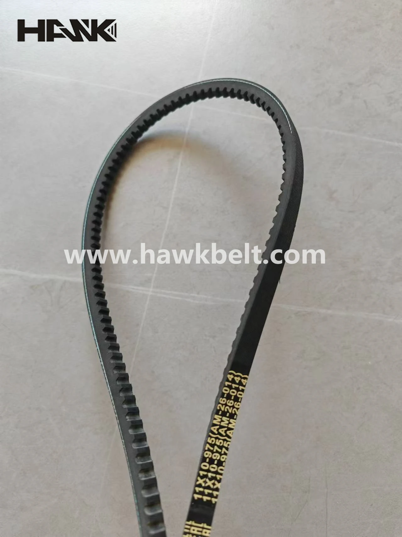 variable speed v belt