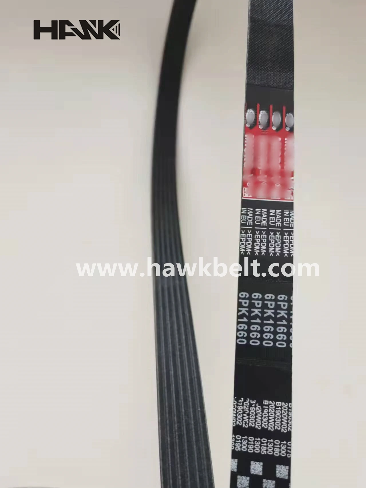 timing belt and timing chain