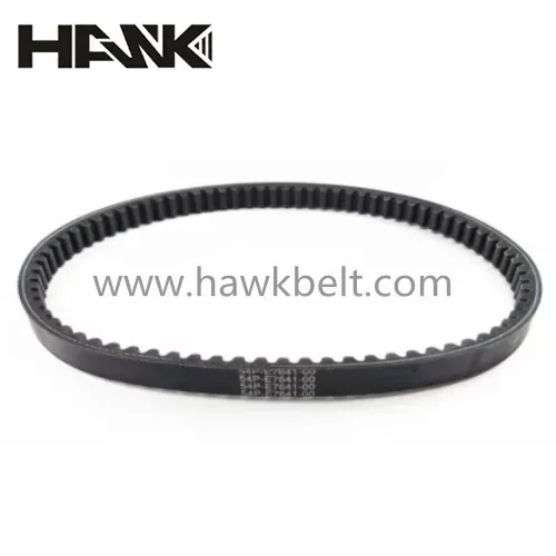 timing belt cam belt