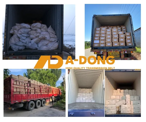 Truck Belt Poly V Ribbed 8PK1635 8PK2020 For Scania EPDM China Supplier