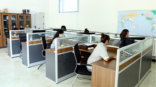 High-Quality Custom Brake Hoses Designed for Optimal Performance and Safety