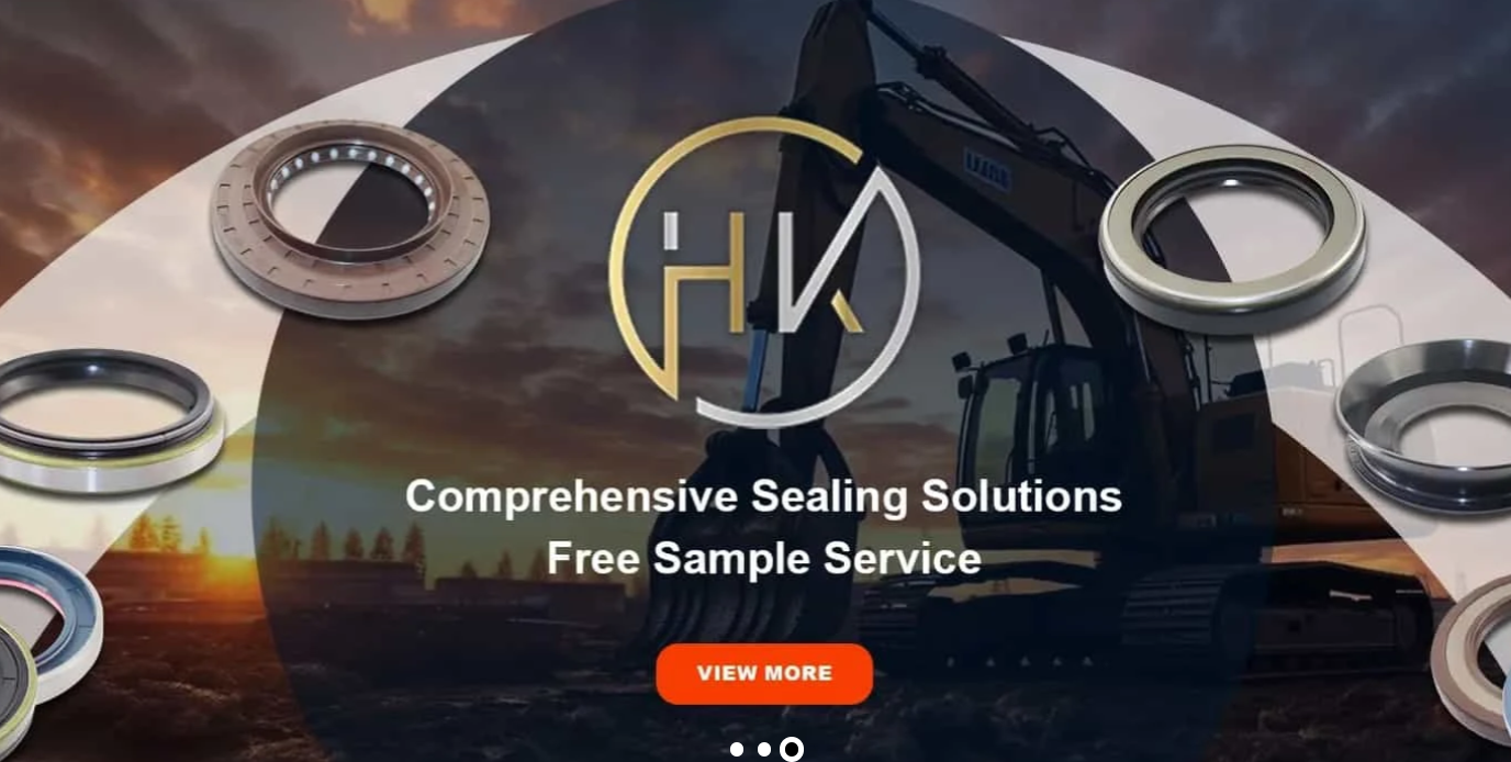 Skeleton Oil Seal with NBR Material