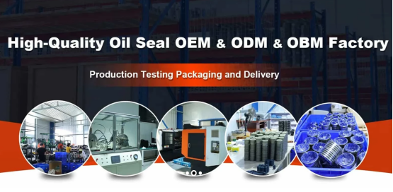 Skeleton Oil Seal with NBR Material