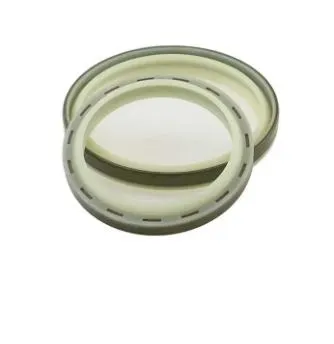 Bio-Inspired Dust Seals for Better Sealing Performance