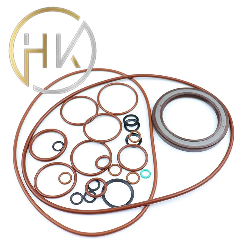 Creating a Seal Hub Connecting Communities Through Marine Conservation Efforts