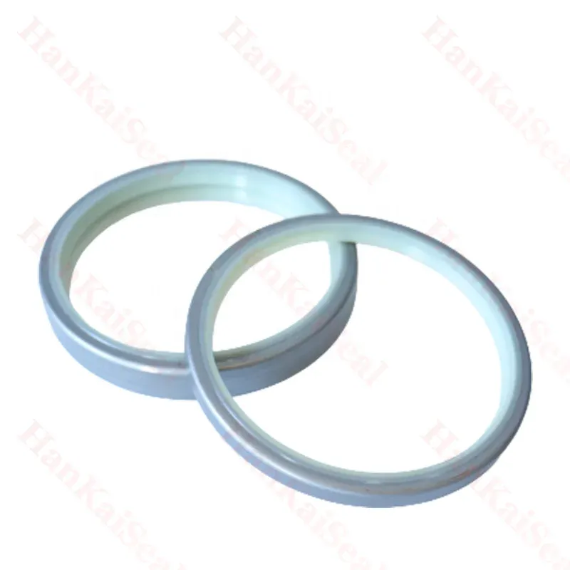 High-Performance Sealing Solutions for High-Pressure Shaft Applications and Systems High-Performance Sealing Solutions for High-Pressure Shaft Applications and Systems