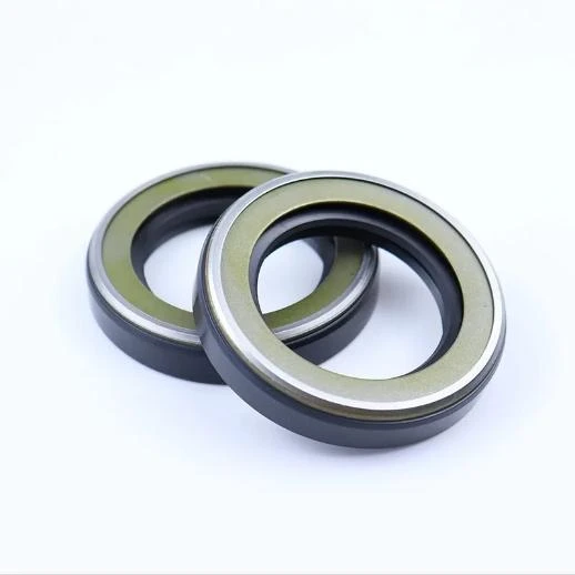 hydraulic cylinder oil seal kit