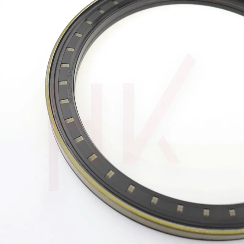 CASSETTE Hub oil seal 165*195*16.5/18 12018543B 12015149B for DANA 3429790M1 3429790M2