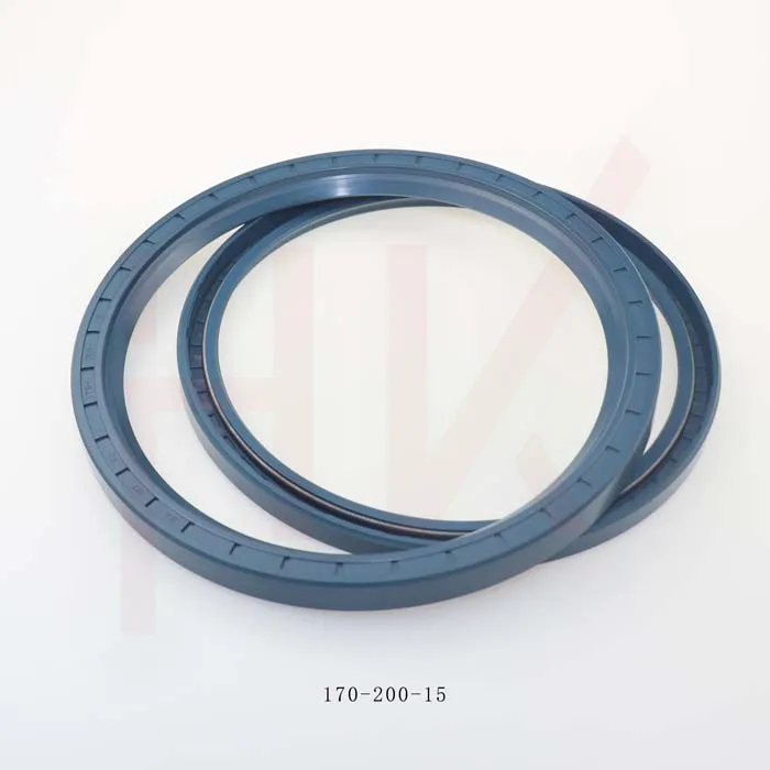 170×200×15 Rubber Oil Seal From Tcv NBR FKM High Pressure Oil Seal Tcv Oil Seal
