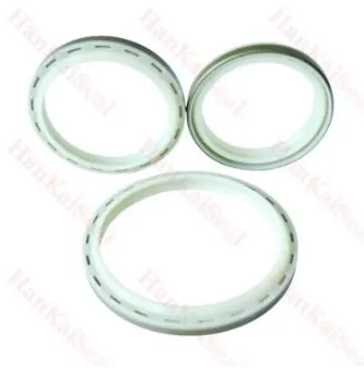 The Application And Importance Of Dust Seal In Some Fields