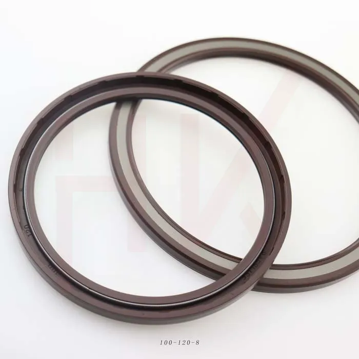 TCV Shaft Oil Seal 100x120x8 for Rexroth A2F500 – Durable