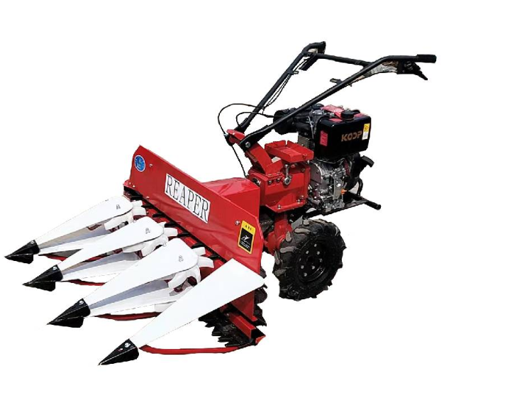 Wheat Harvester that Advanced Crop Harvesting Solutions from Hebei Niuboshi