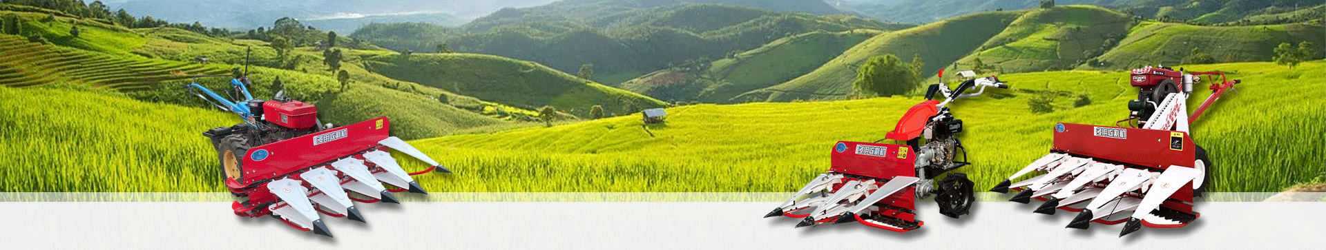 Innovative Wheat Harvesting Techniques for Increased Efficiency and Sustainable Agriculture Practices