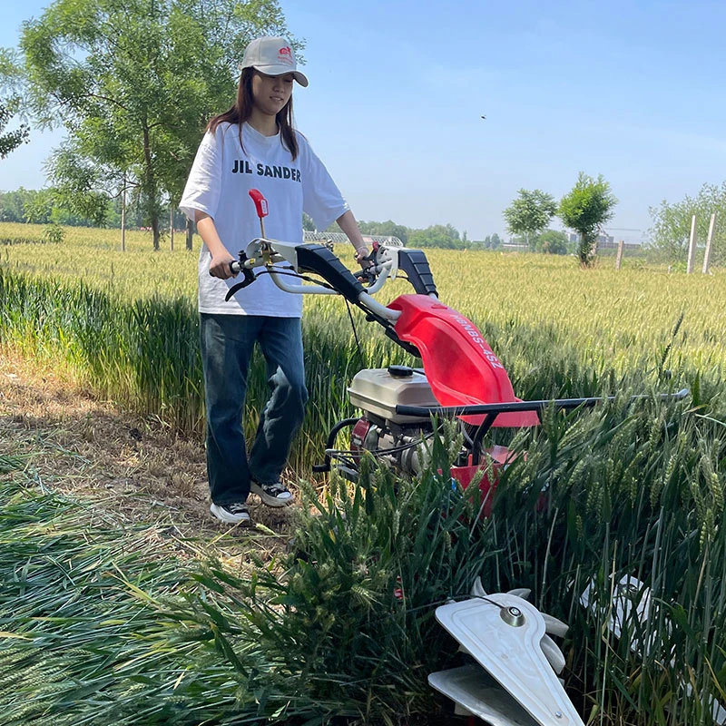 kleine Paddy Schneidemaschine