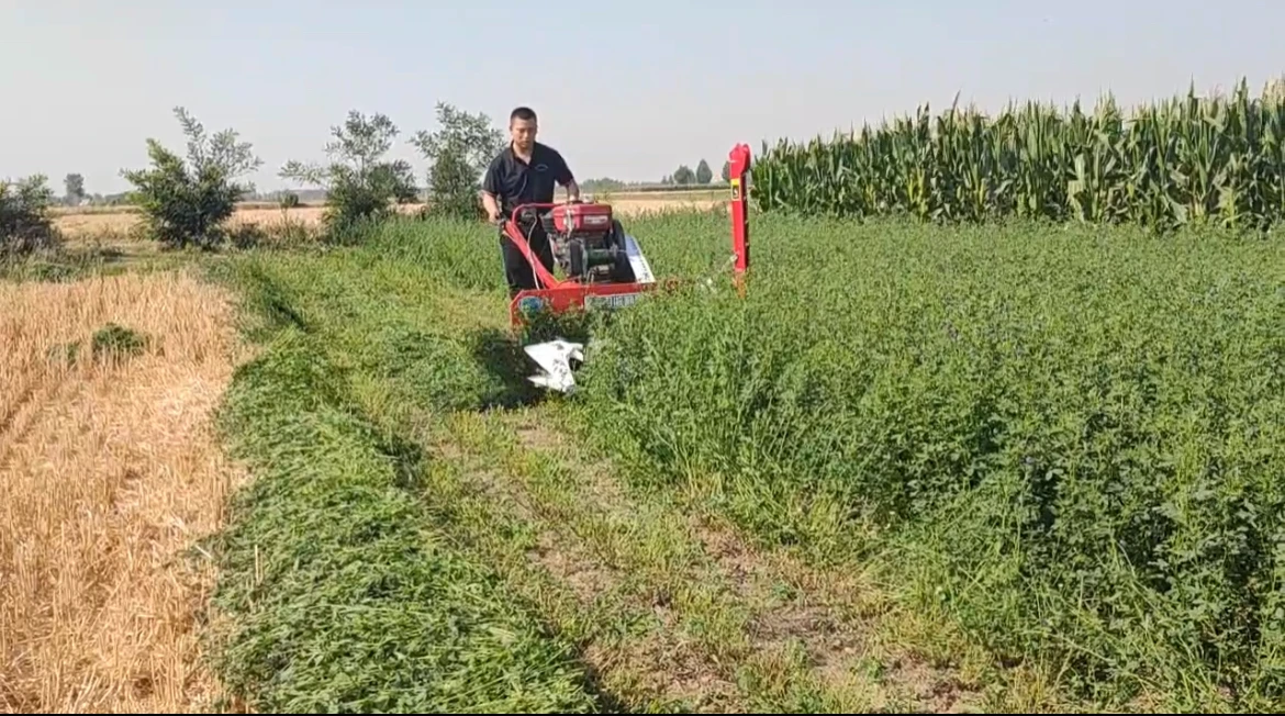 Small Scale Harvesting Equipment for Efficient Crop Collection Small Scale Harvesting Equipment for Efficient Crop Collection