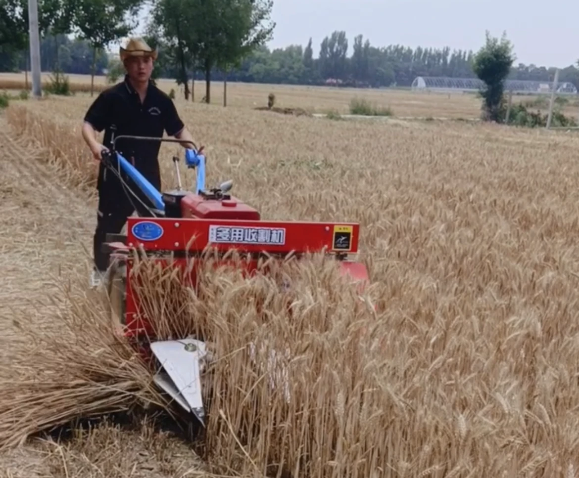 Innovative Solutions for Efficient and Sustainable Harvesting in Modern Agriculture