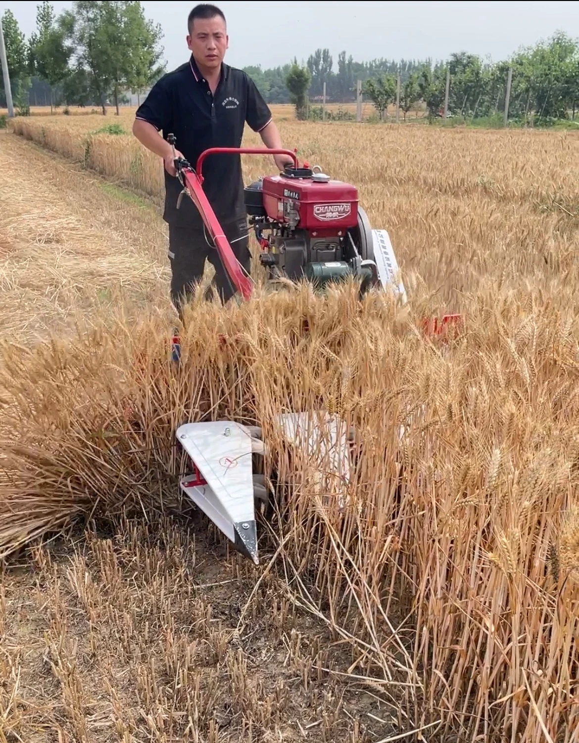 price of wheat cutting machine price of wheat cutting machine