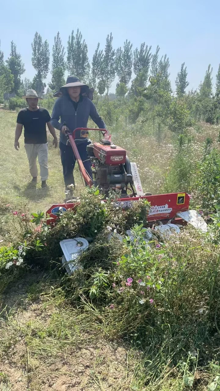 Affordable Options for Reaper Cutter Prices and Features to Consider