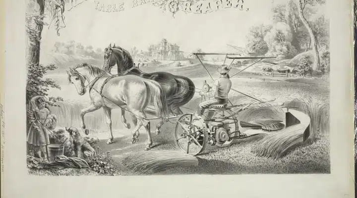 Combining Advanced Reaper and Binder Technologies for Enhanced Harvesting Efficiency and Productivity