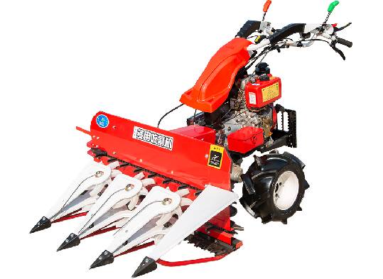 fodder beet harvester