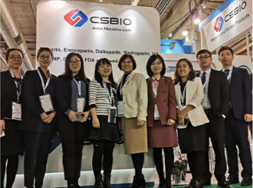 Savory Chilled Sesame Noodles with Fresh Vegetables and Flavorful Sauce