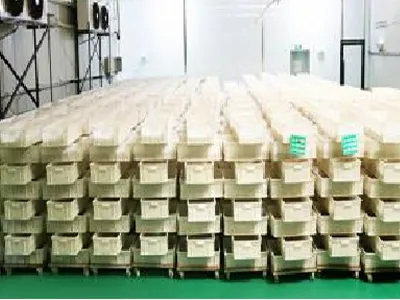 how to make quick ramen