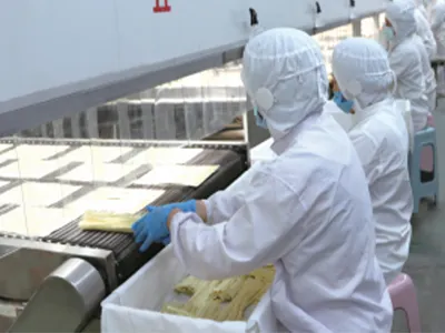 sichuan style cold noodle sichuan style cold noodle