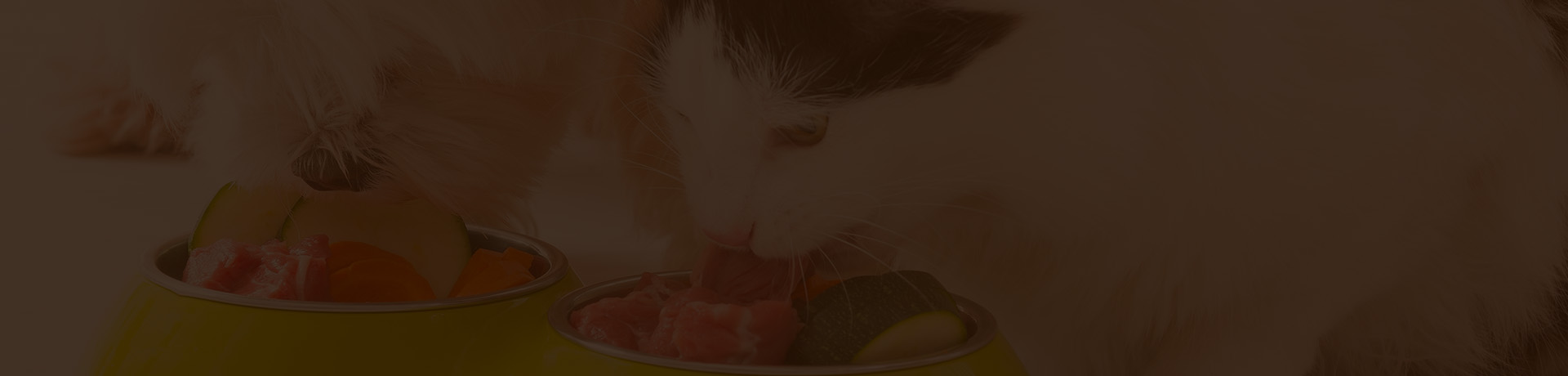 Get Free Cat Litter from Factories and Save on Pet Care Expenses