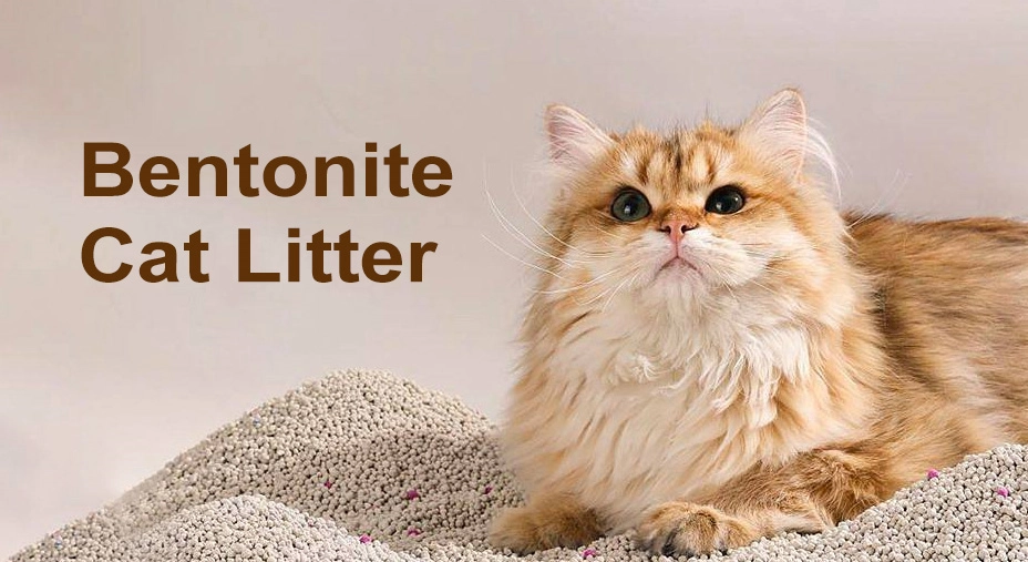 pet naturals calming treats manufacturer pet naturals calming treats manufacturer