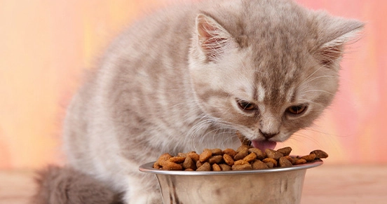 oem nontracking cat litter