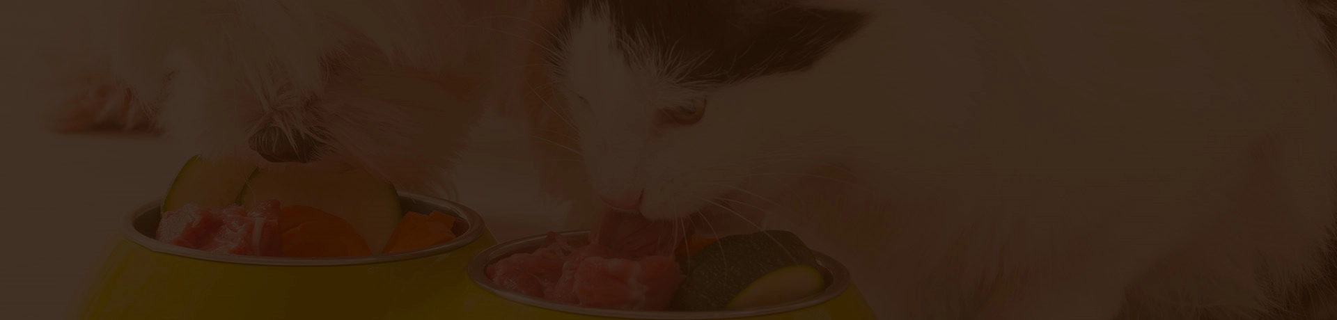 odm fragrance cat litter