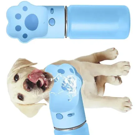 Redefine Pet Comfort with Thoughtfully Designed Essentials