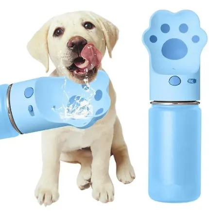 Why Dog Clothes Are More Than Just Fashion