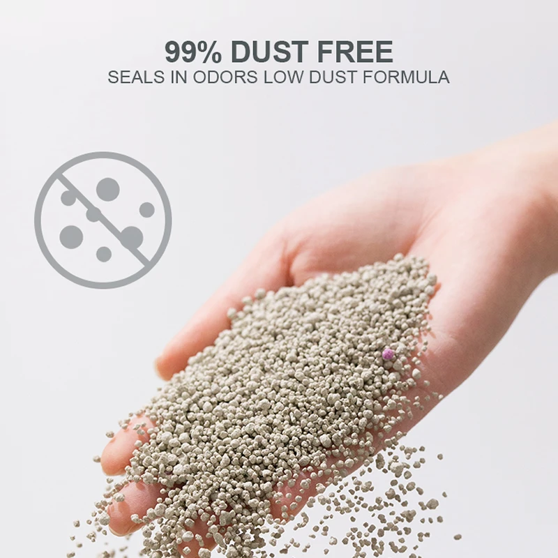 Tofu-Based Clumping Cat Litter Production Facility Insights and Innovations