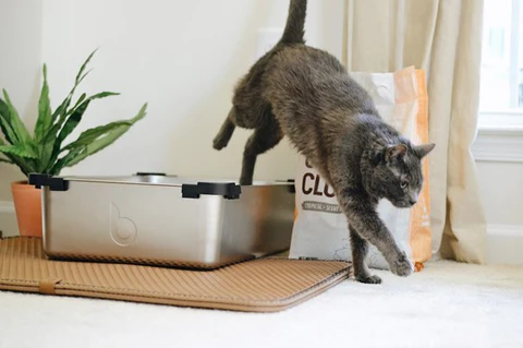 Reliable Cat Litter Supplier for Naturally Strong and Effective Pet Care Solutions Reliable Cat Litter Supplier for Naturally Strong and Effective Pet Care Solutions