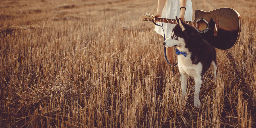 cute dog clothes factory cute dog clothes factory