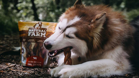 Top Cat Litter Brands for Easy Sliding and Cleanup Solutions