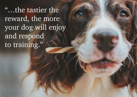 Premium Wholesale Cat Litter - Affordable Solutions for Pet Owners