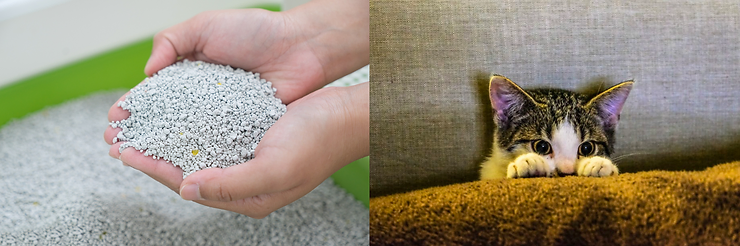 Leading Manufacturers of Cat Litter Made from Tofu for Eco-Friendly Pet Care