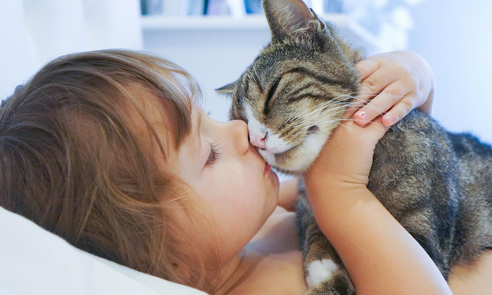 Sustainable and Refillable Cat Litter Options Available at Petco for Eco-Friendly Pet Owners Sustainable and Refillable Cat Litter Options Available at Petco for Eco-Friendly Pet Owners