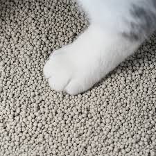 odm tofu cat litter bulk