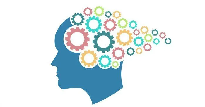 odm clothes for small dogs