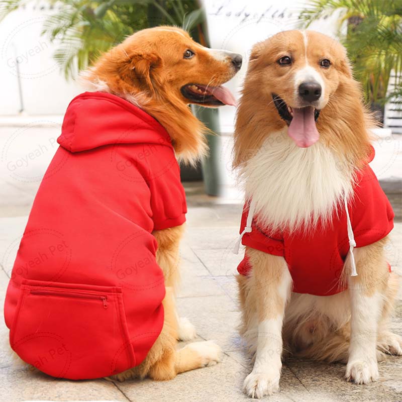 Read More About dog apparel wholesale