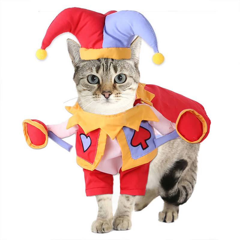Read More About pet clothes for cats