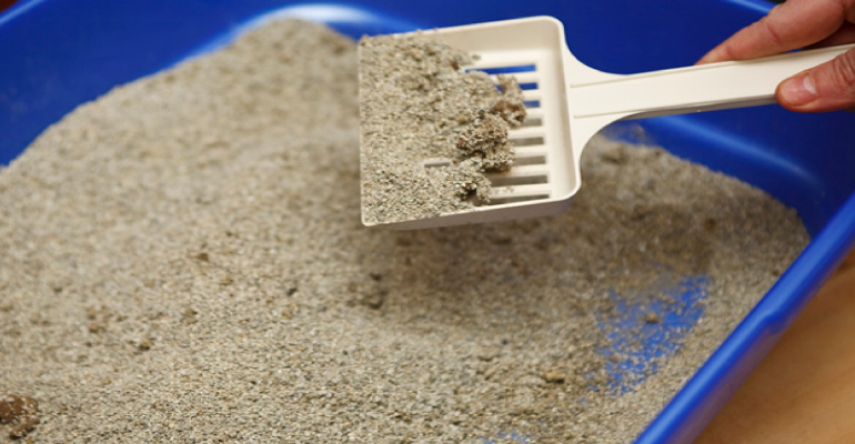 Eco-Friendly Cat Litter Solutions from a Reliable Supplier for Sustainable Pet Care