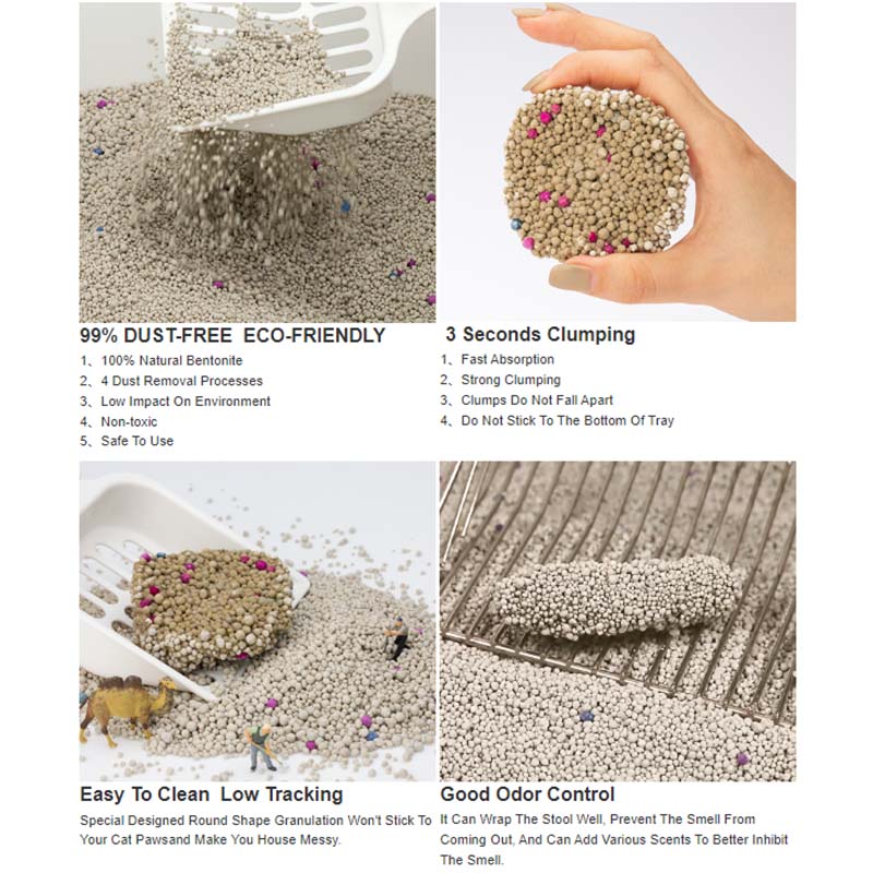 cat sand litter suppliers